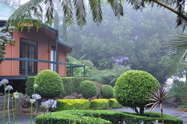 mt tamborine accommodation