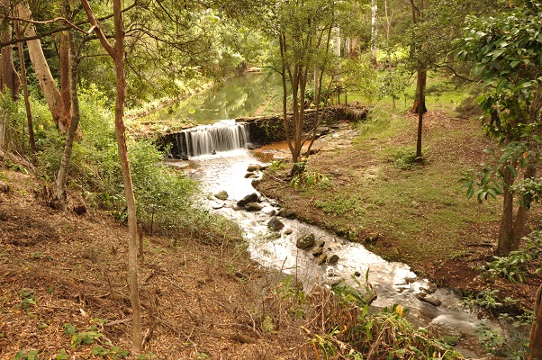 mt tamborine accommodation with garden