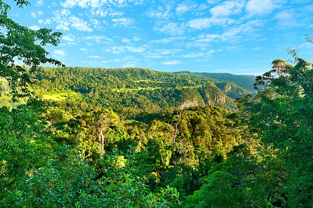 mt tamborine holiday rental