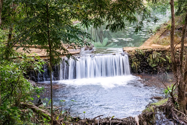 mt tamborine accommodation with garden