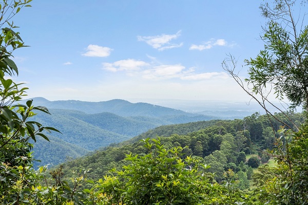 mt tamborine accommodation with garden 