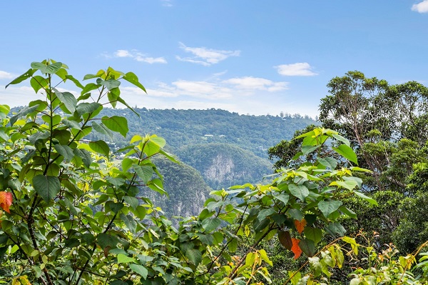 mt tamborine accommodation with garden