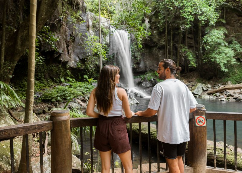 Mt Tamborine Curtis Falls