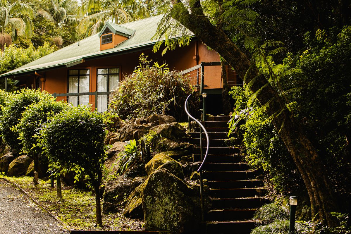 mt tamborine accommodation with garden 