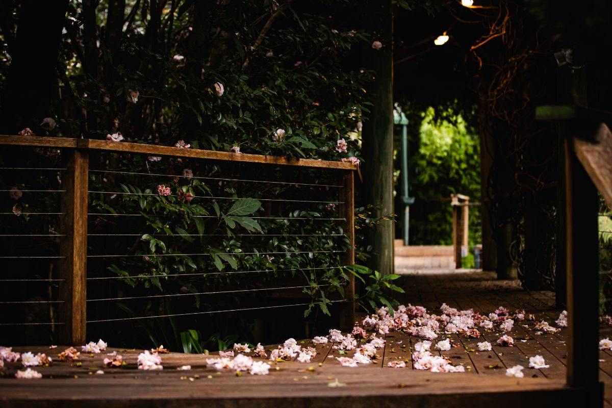 mt tamborine accommodation with garden 