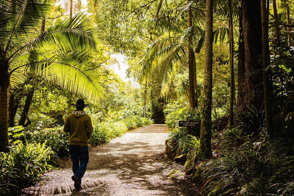 mt tamborine accommodation with garden 