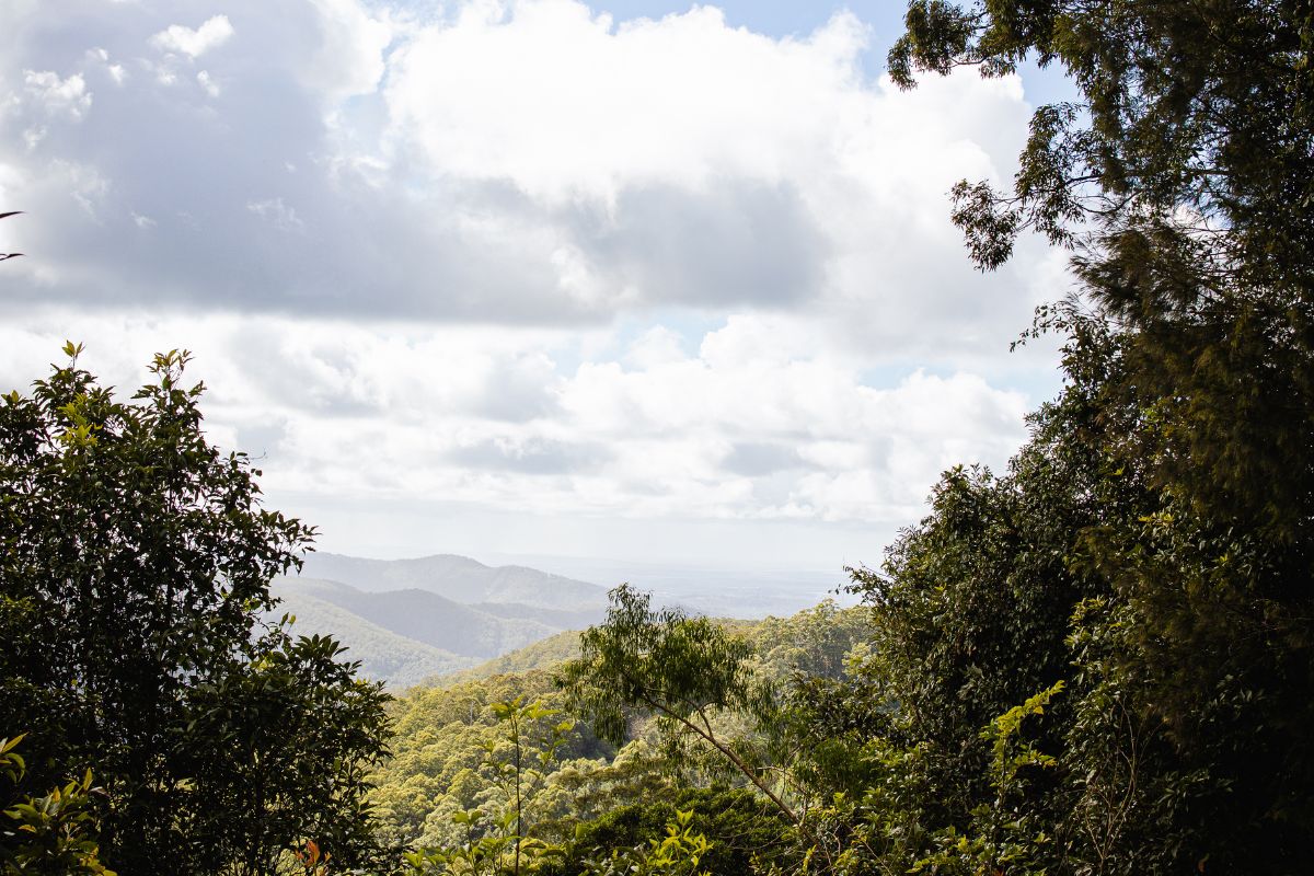 mt tamborine accommodation with garden 